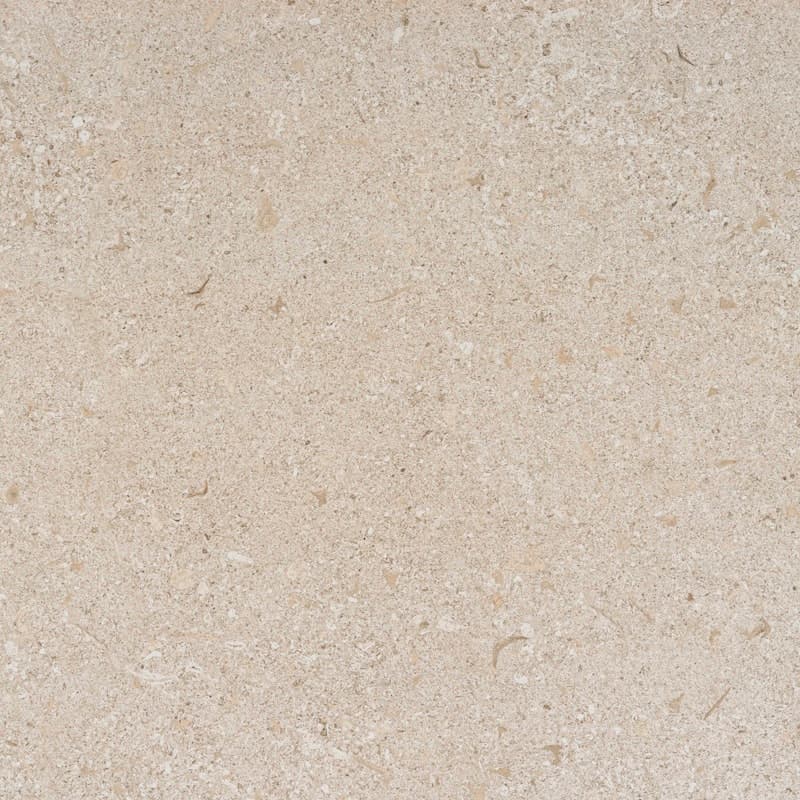 Avorio